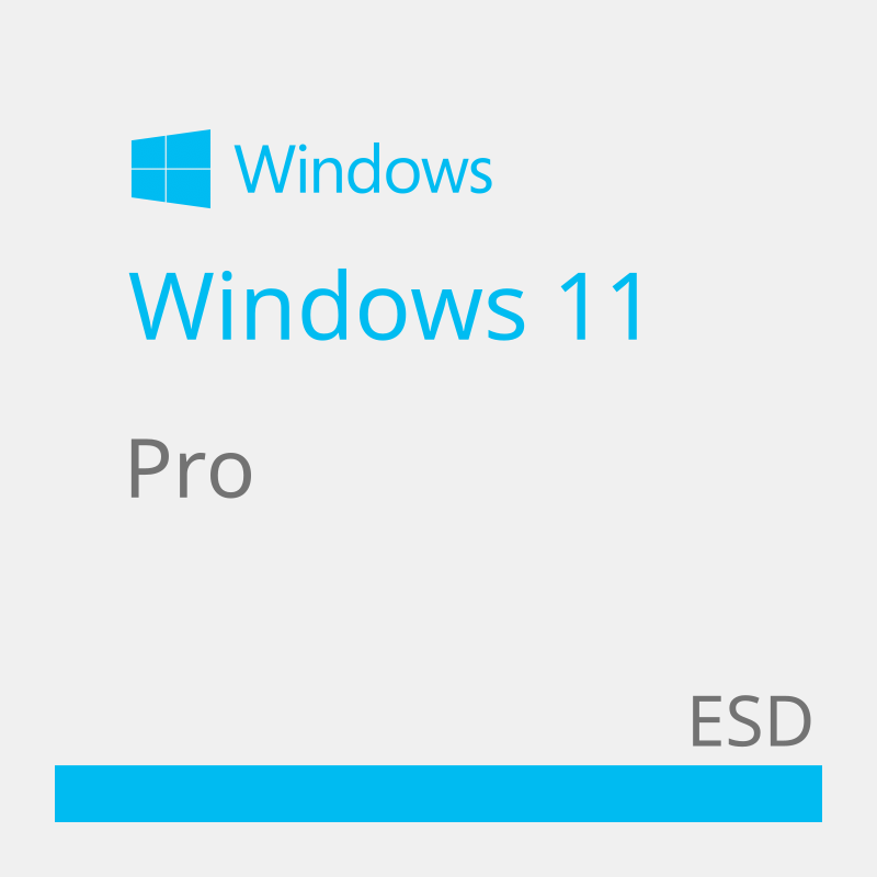 Windows_11_Pro
